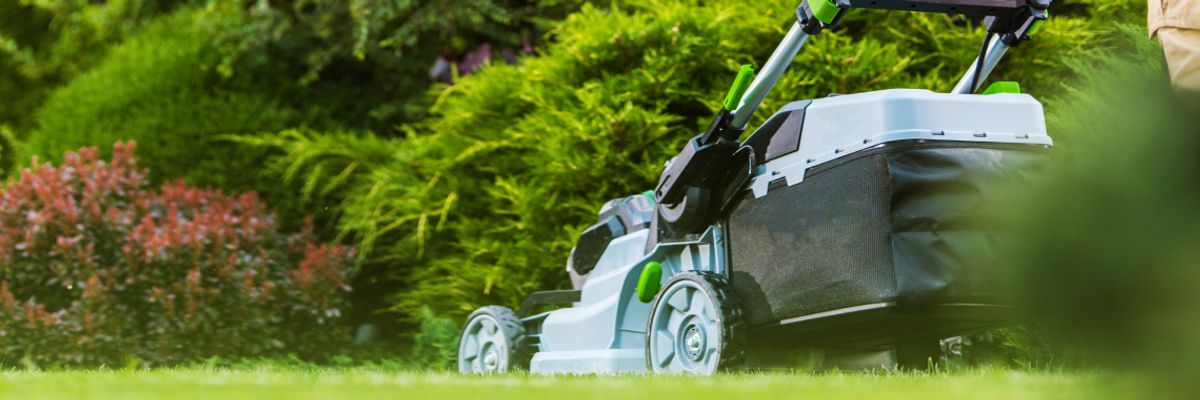 Bewirtschaftung Grün- und Außenflächen Bewirtschaftung Grün- und Außenflächen