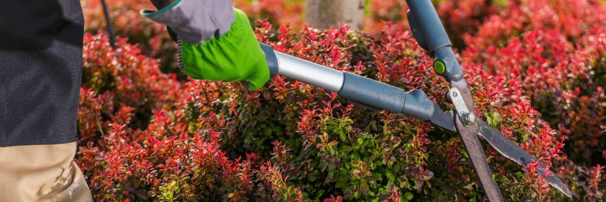 Bewirtschaftung Grün- und Außenflächen Bewirtschaftung Grün- und Außenflächen