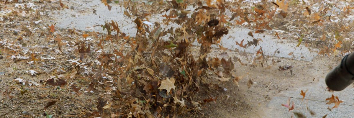 Bewirtschaftung Grün- und Außenflächen Bewirtschaftung Grün- und Außenflächen